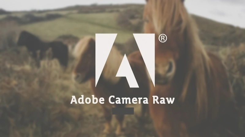 Jual Adobe Camera Raw Murah (1)